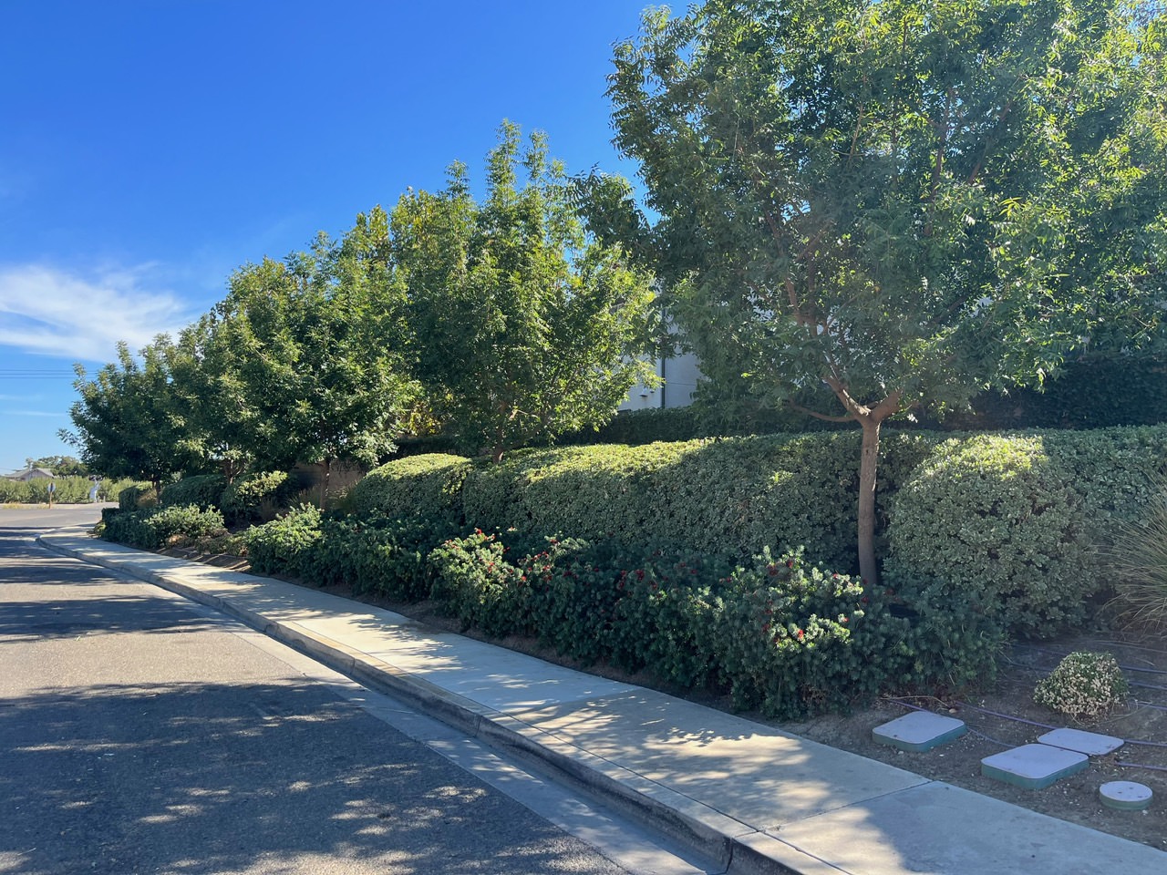 Commercial Landscape Design