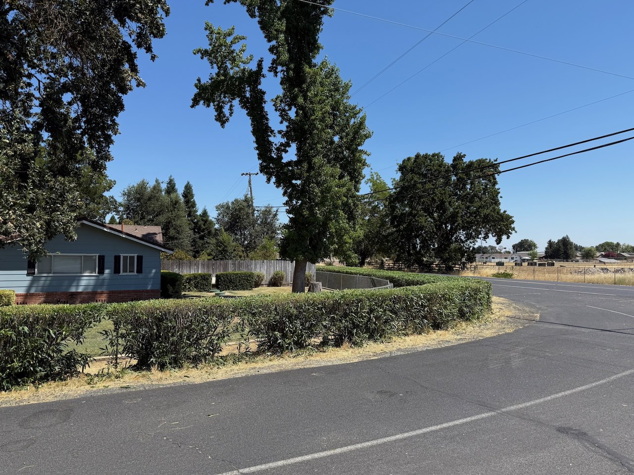 Trimmed bushes along a corner lot property