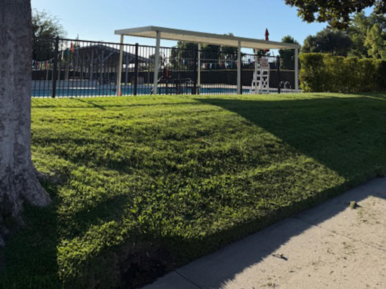 freshly cut lawn by community pool