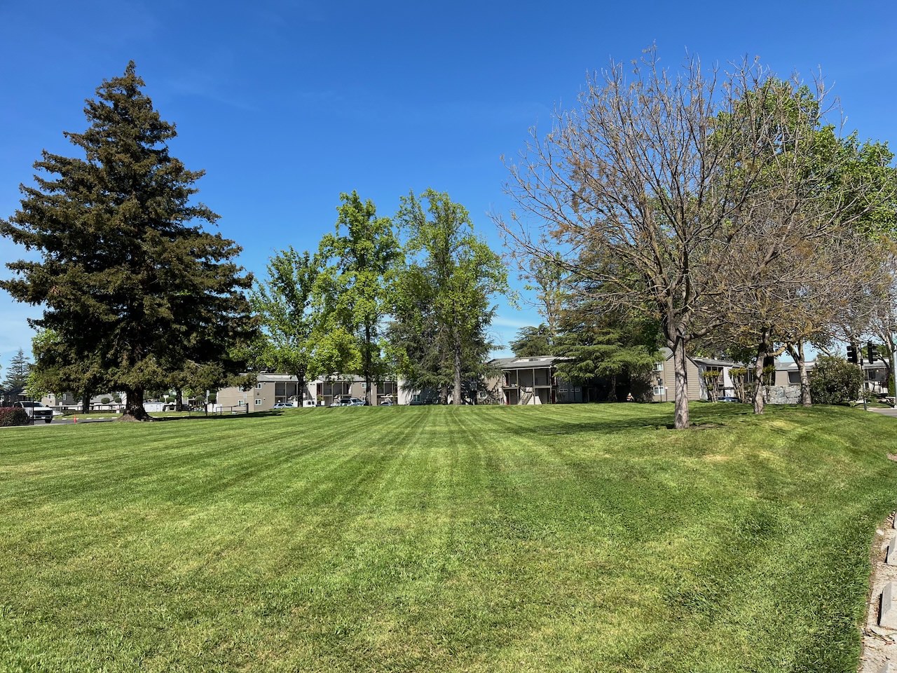 fresh mowed lawn next to an apartment complex