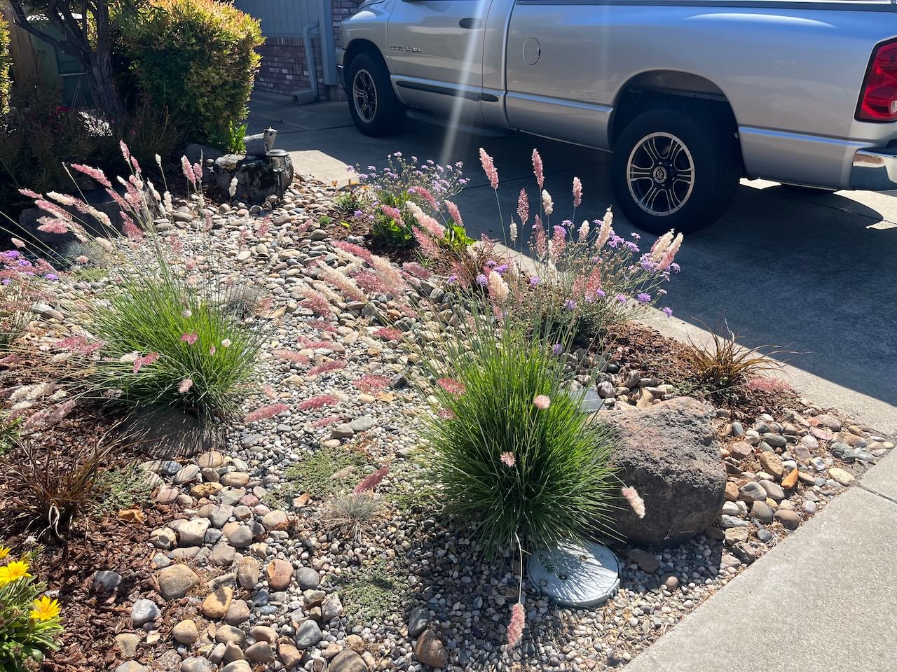 low maintenance and low water landscape design next to residential driveway