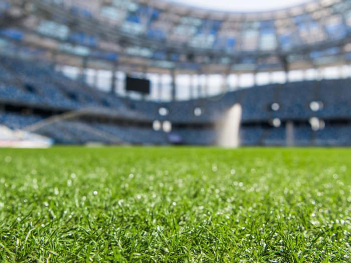 Sports Turf